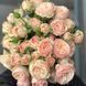 Троянда чайно-гібридна ''Джентл Трандесттер'' ROSE 'GENTLE TRENDSETTER' висота 80-150 см Персиковий 326 фото 4