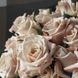 Троянда чайно-гібридна ''Мента'' ROSE 'MENTA' висота 80-150 см Кремовий 393 фото 4