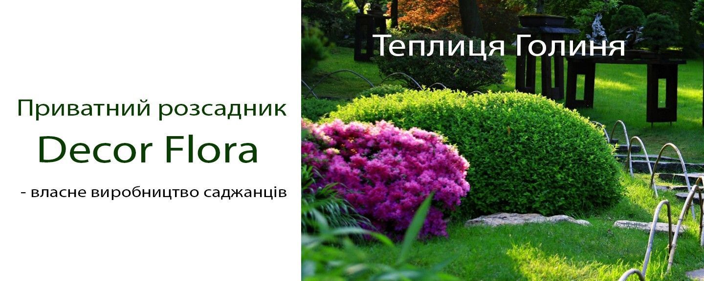 Decor Flora